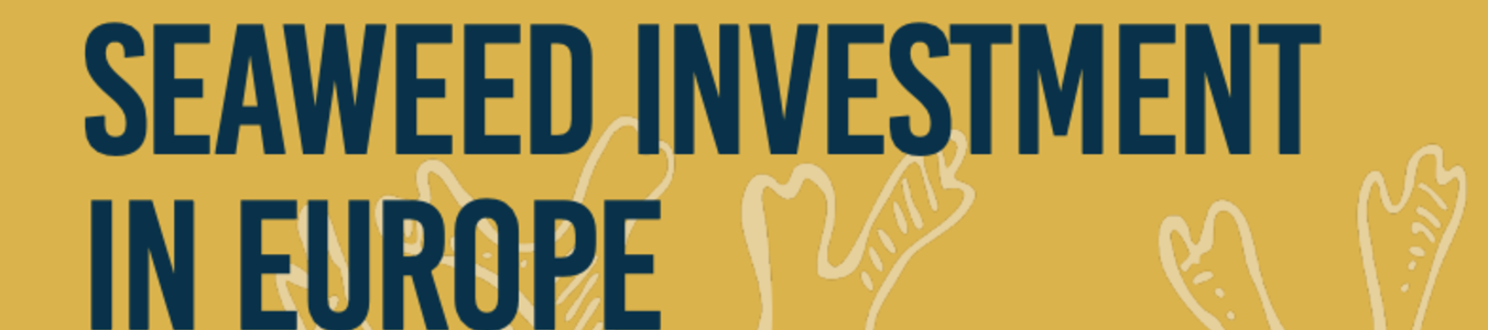 Investor Memo -- The Case for Seaweed Investment in Europe banner