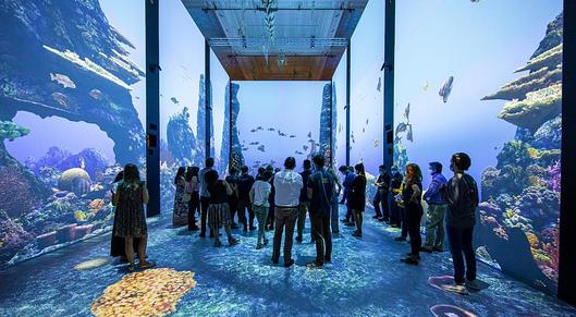 DIVE into the great barrier reef at Monaco's underwater exhibition card