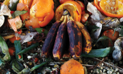 Browse partner foodwaste2feat