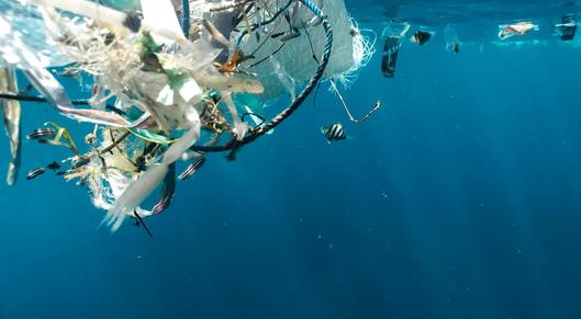 Breaking the Stubborn Ocean Plastic Cycle card