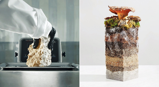 Lab-grown fur, mushroom houses, and more sustainable tech that blows our minds card