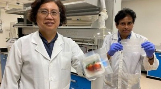 Singapore, US scientists develop biodegradable food packaging material card