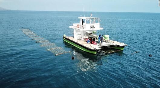An Indian startup could revolutionize ocean farming with its 'sea combine harvester' card