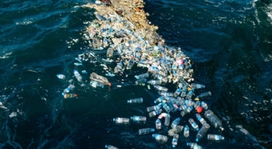 Plastic Bank coalition prevents two billion bottles from ending up in oceans card