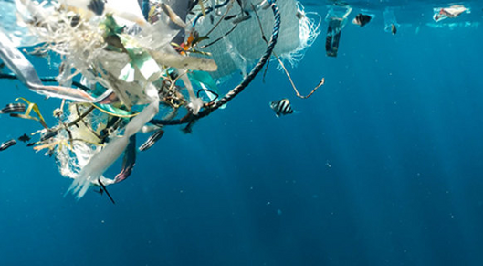 Australia, Indonesia partner to tackle plastic pollution card