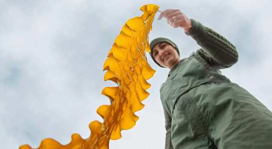 A Maine-based company is helping fishermen become kelp farmers to adapt to climate change card