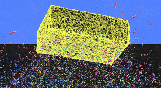 Microplastics are everywhere. These sponges could help capture them card