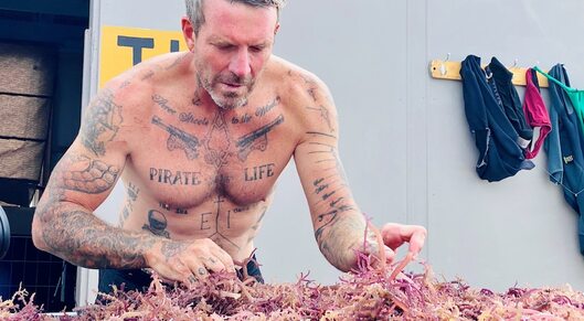 From an 'underwater garden' Ash is harvesting seaweed to turn into lollies card