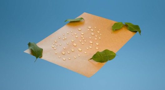 Smurfit Kappa develops new sustainable water-resistant paper AquaStop card