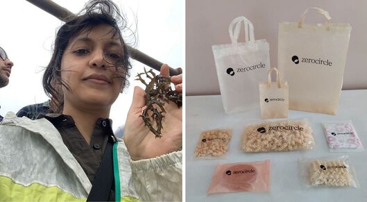 Ex-Google Employee Turns Seaweed into 100% Dissolvable, Low-Cost Packaging card