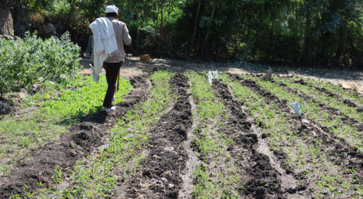 Diageo launches climate solutions fund for African smallholder farms | Greenbiz card