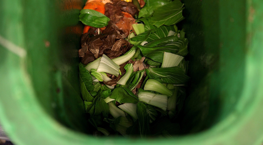 These 27 solutions could help the U.S. slash food waste card