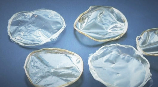 Egyptian scientists turn dried shrimp shells into eco-friendly plastic card