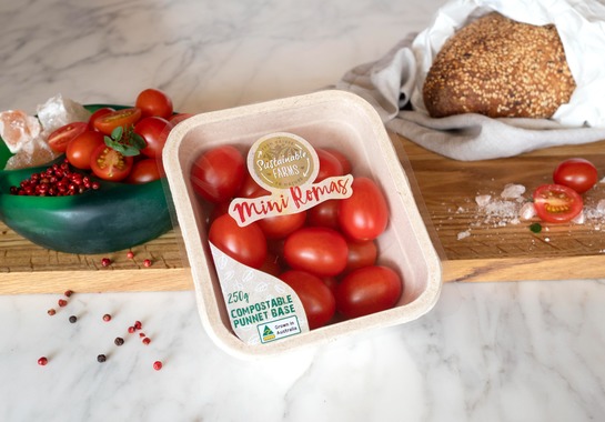 Recyclable Home Compostable Produce Packaging Ubuntoo Solutions